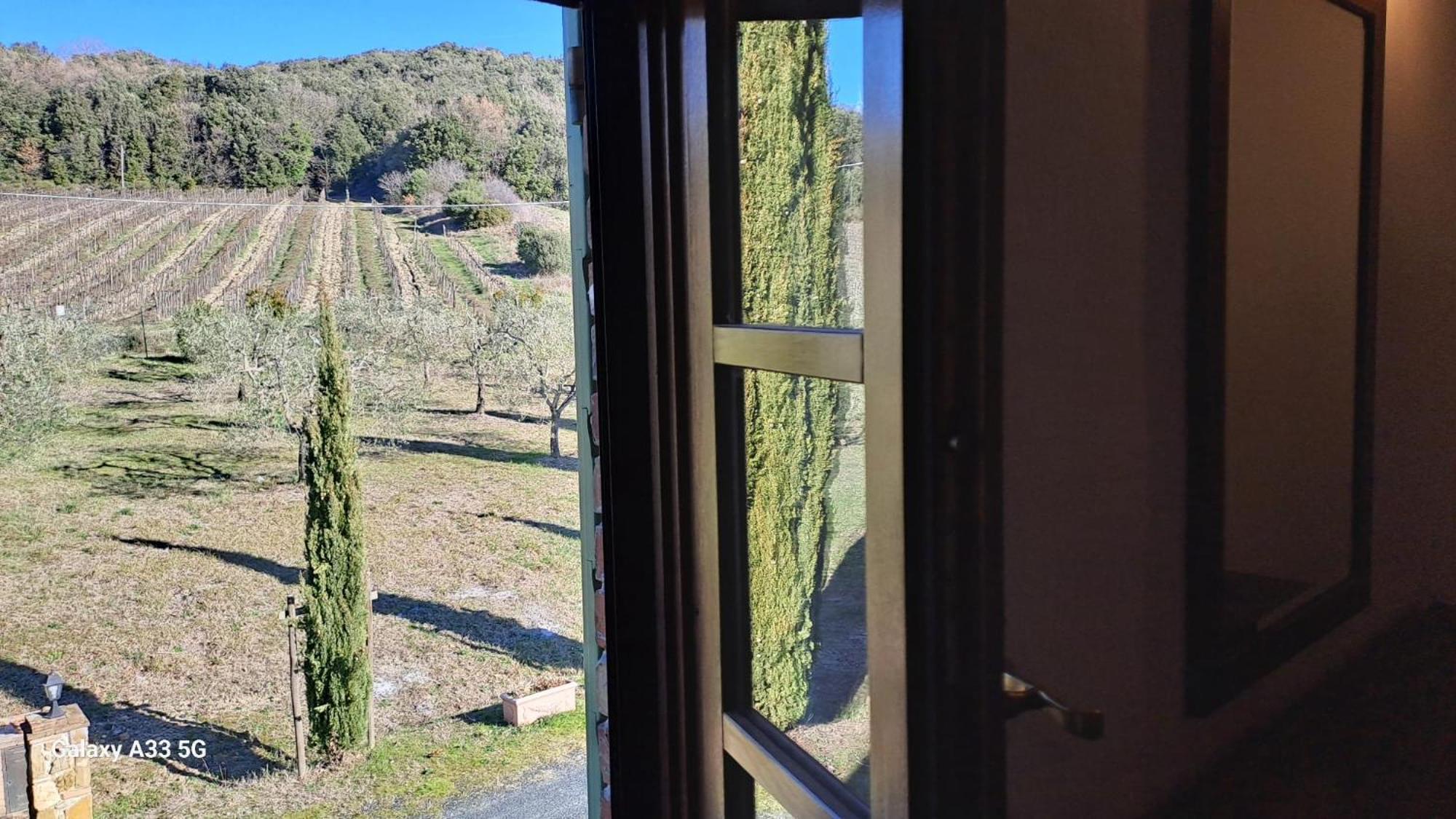 Podere Oliveta Montecatini Val di Cecina Bagian luar foto