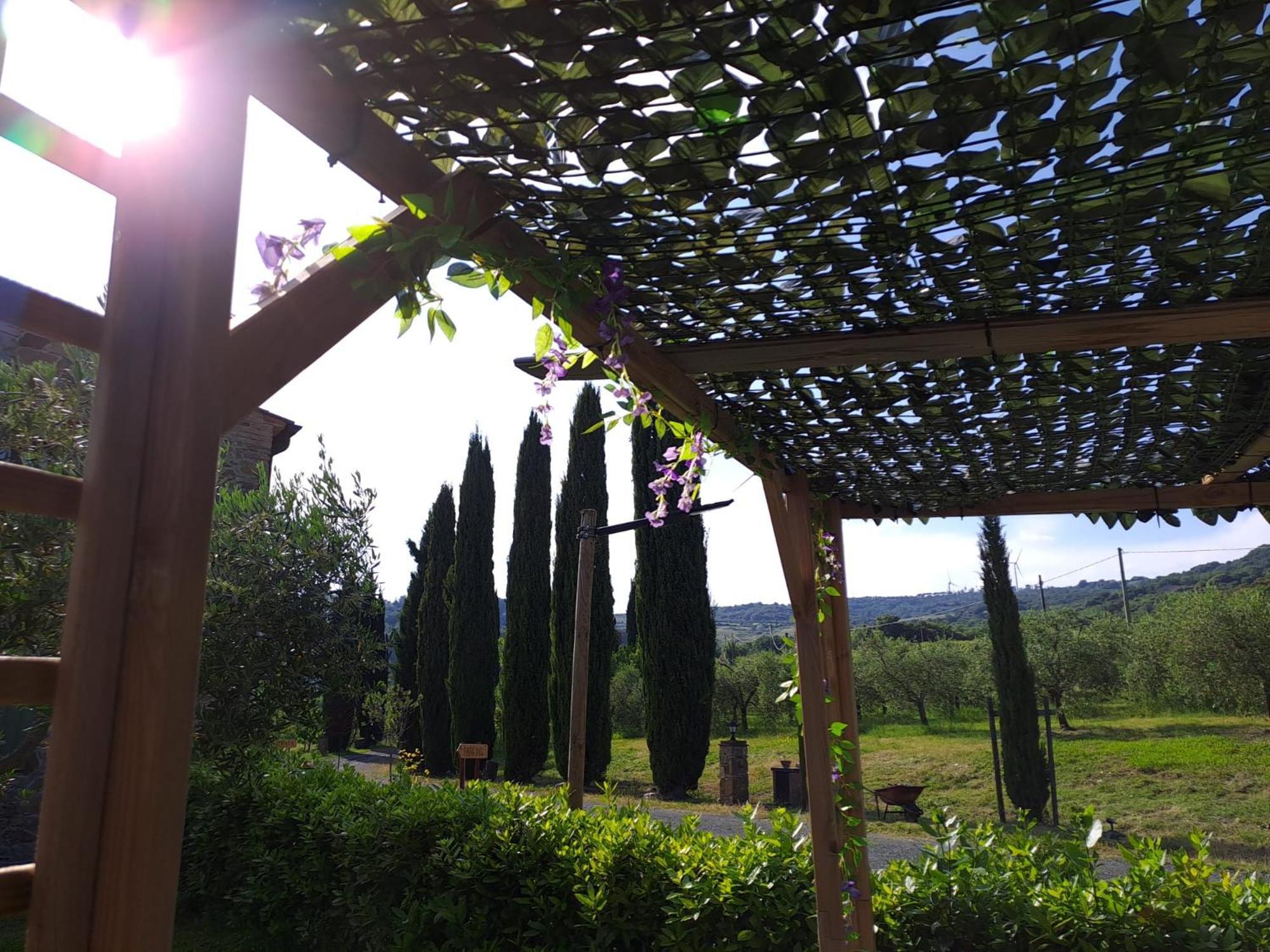 Podere Oliveta Montecatini Val di Cecina Bagian luar foto